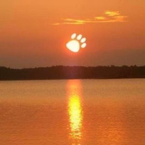 Meet your Posher, Grant